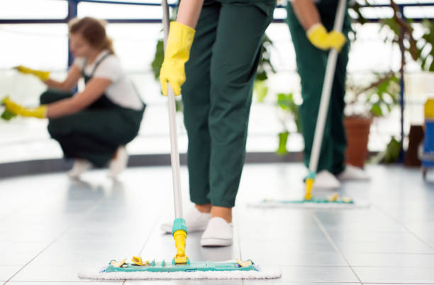 Professional floor cleaning services