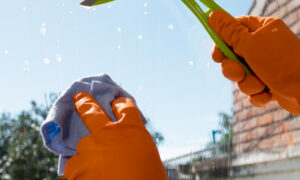 House and roof washing