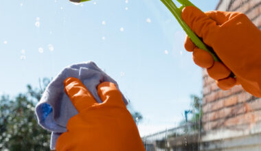 House and roof washing