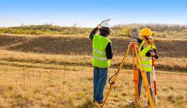 professional surveyors