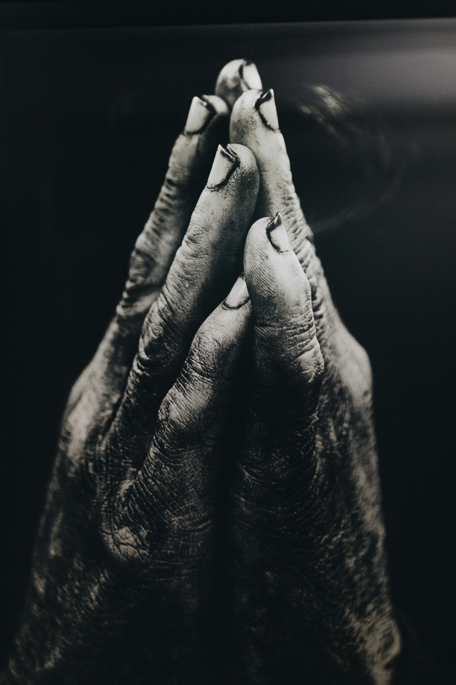 The Science and Spirit Behind Daily Prayer